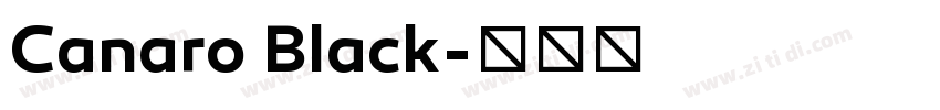 Canaro Black字体转换